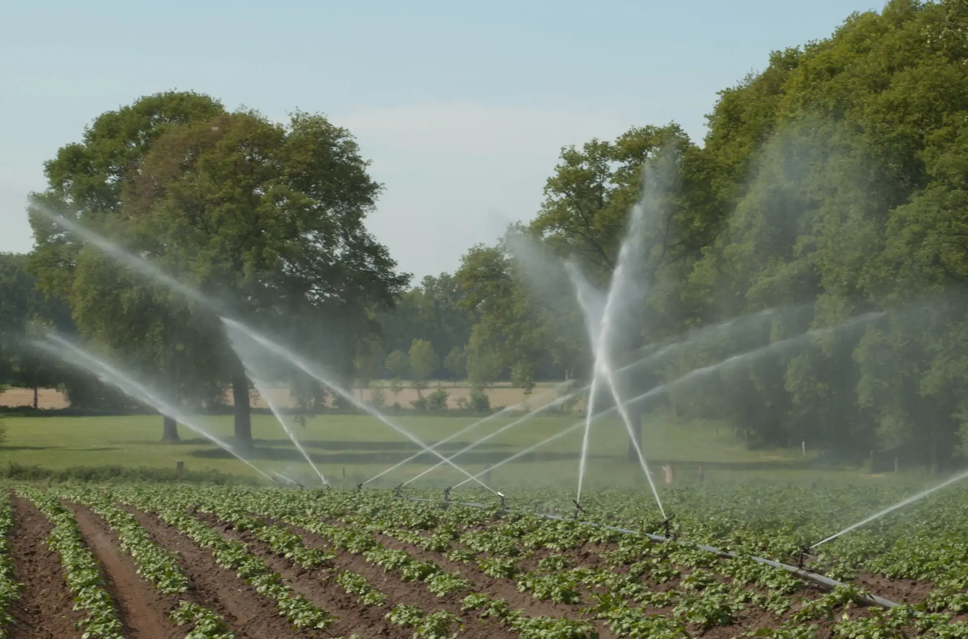 West Covina Landscape Irrigation Repair thumbnail