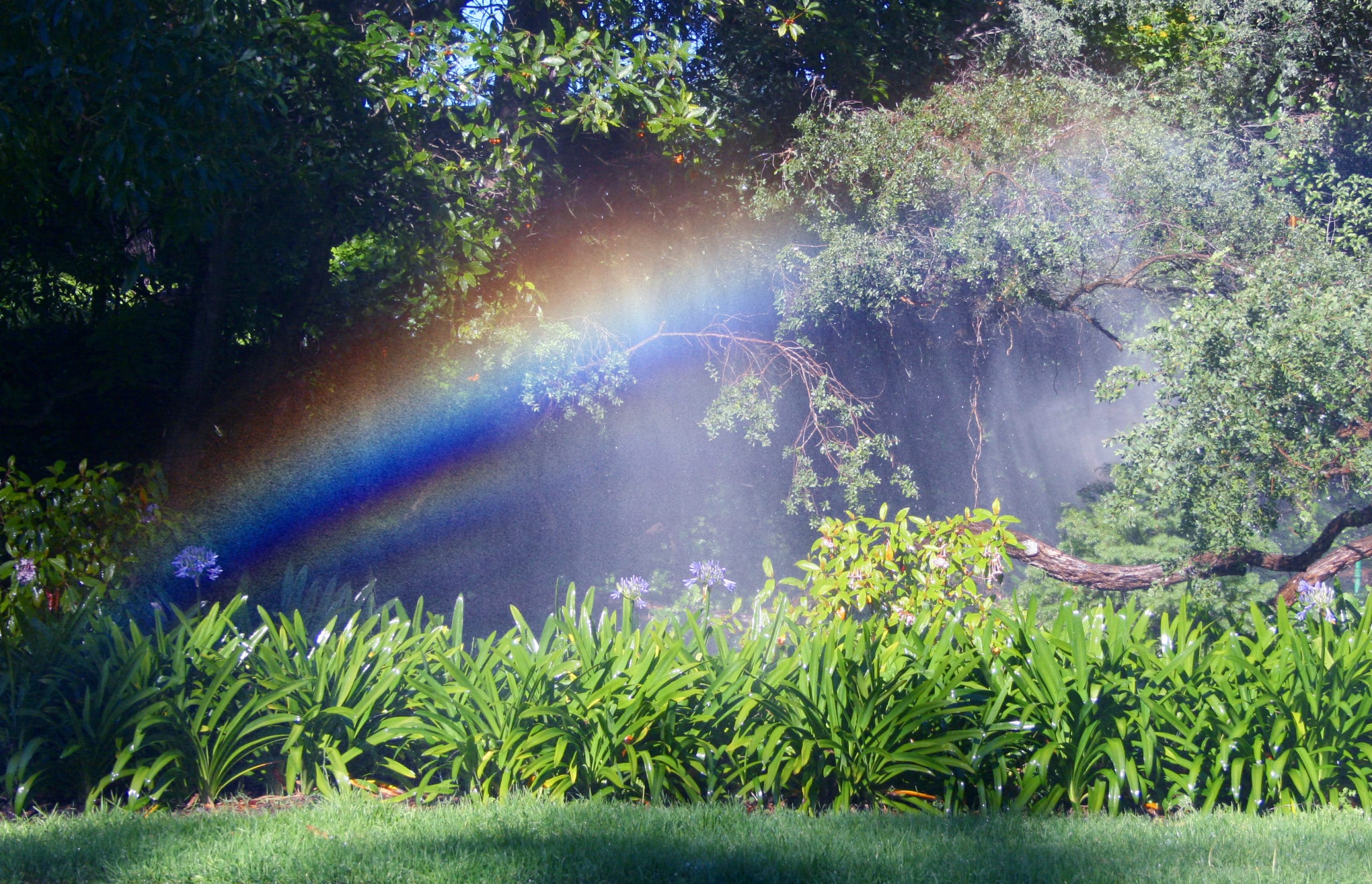 Irrigation System Repair Near Me | Pro Sprinklers Systems