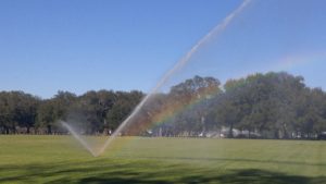 Sprinkler Company Near Me