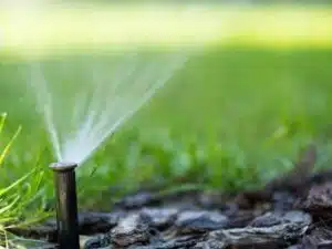 Irrigation System Cost