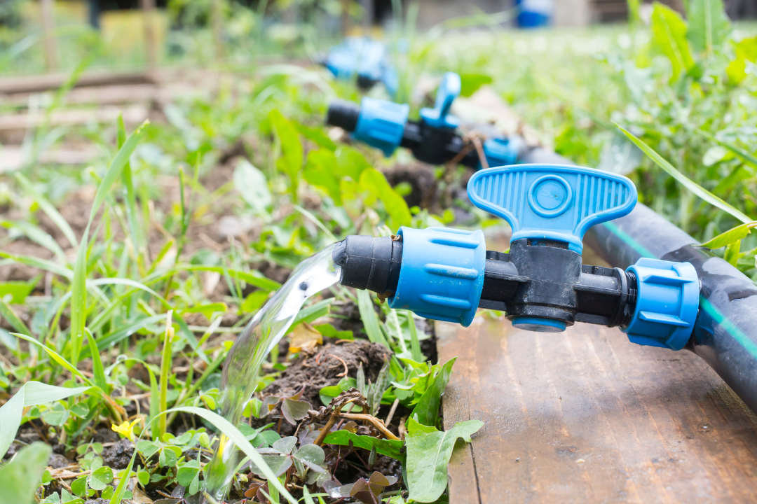 drip irrigation for commercial landscaping