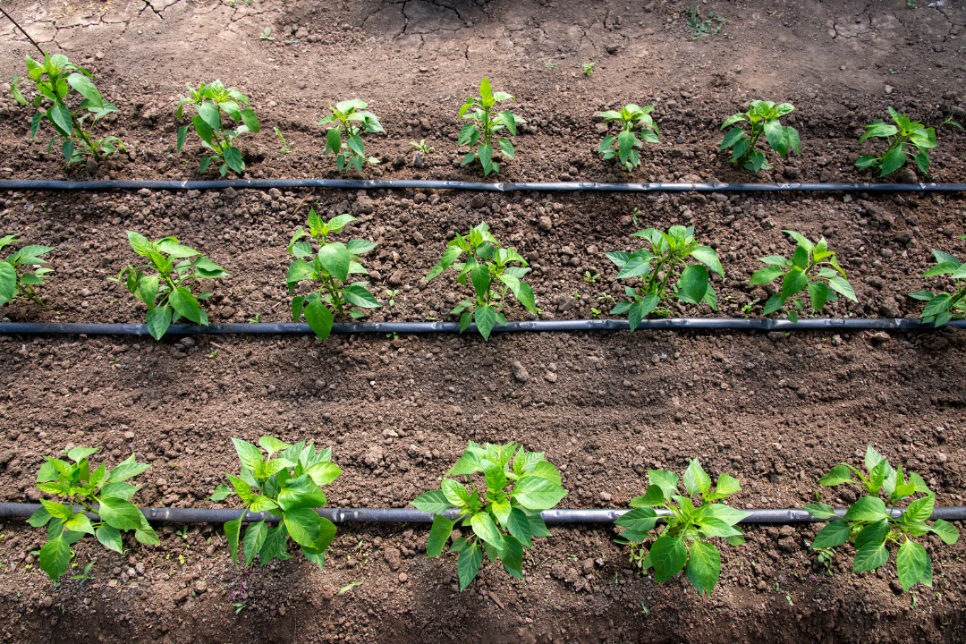 smart irrigation for commercial properties