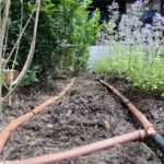pro sprinklers inc drip irrigation lines in garden bed