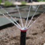 working water sprinkler