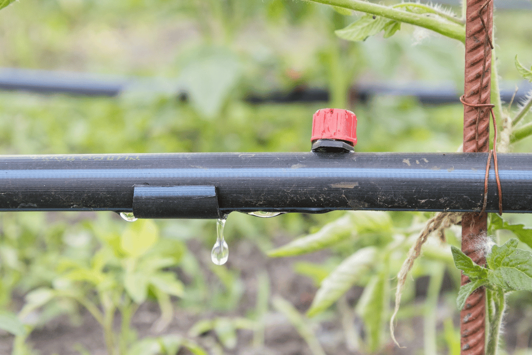 drip irrigation line leaking