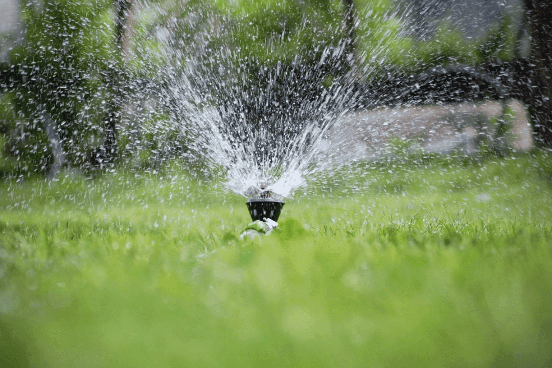 irrigation sprinkler head distributing water evenly across a lawn