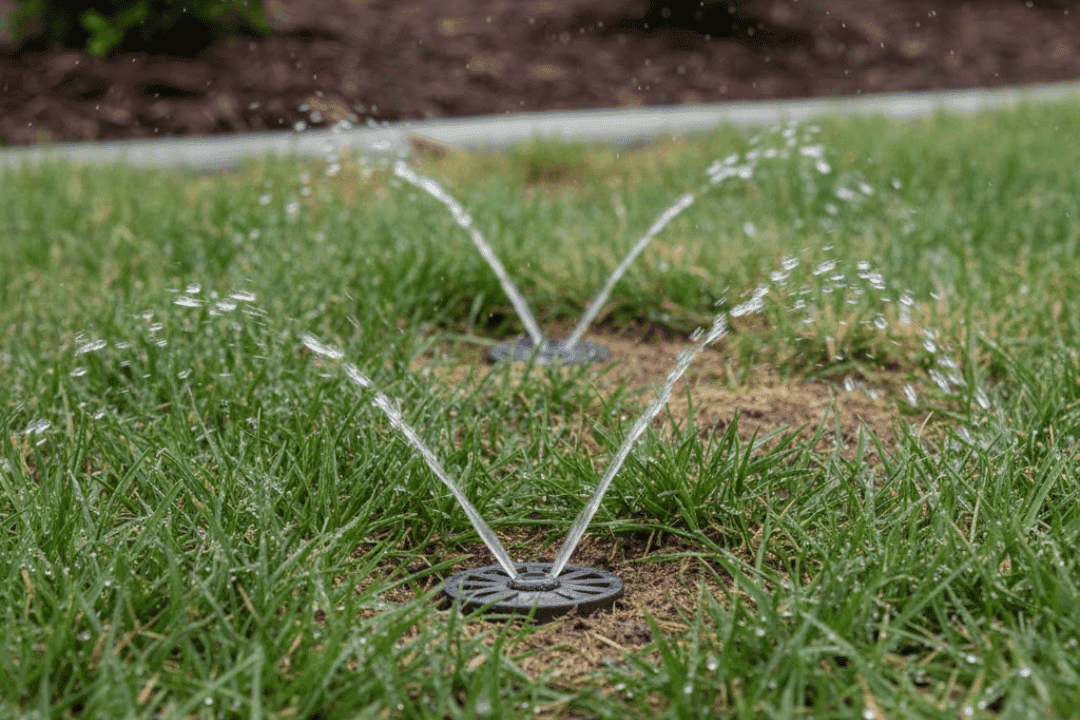 irrigation system design with evenly spaced sprinkler heads optimizing water efficiency