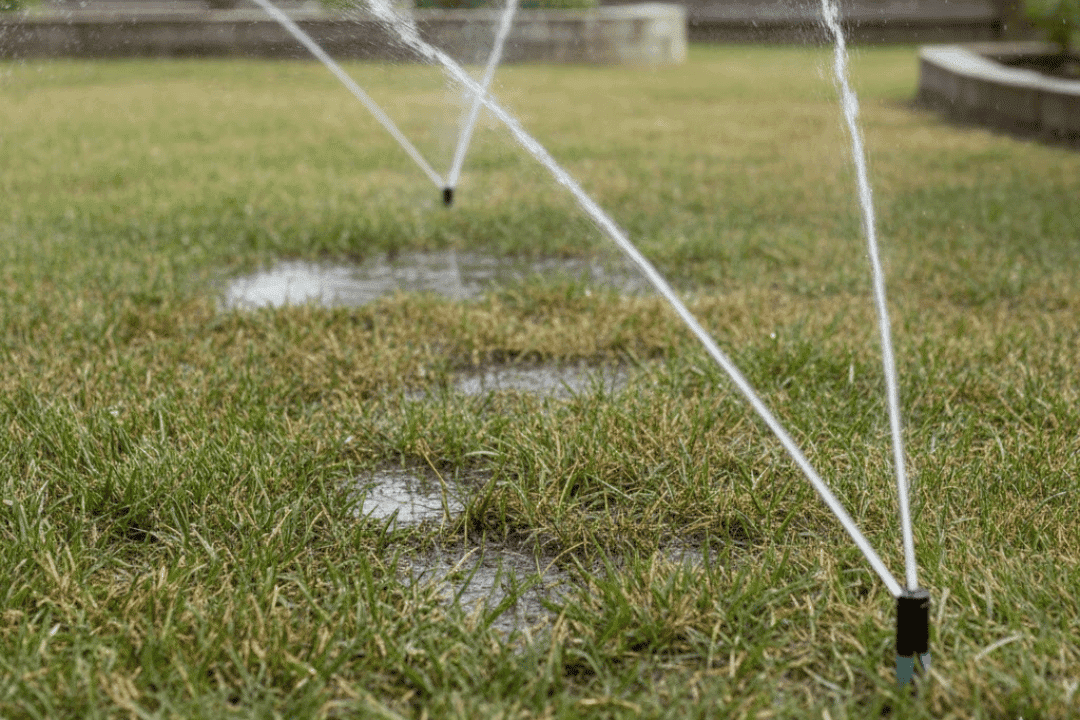 irrigation system inspection checking sprinkler performance
