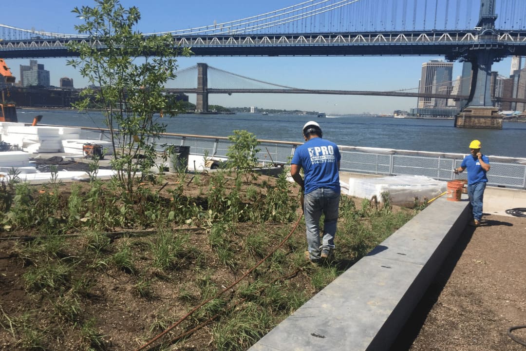 sprinkler maintenance Elmsford