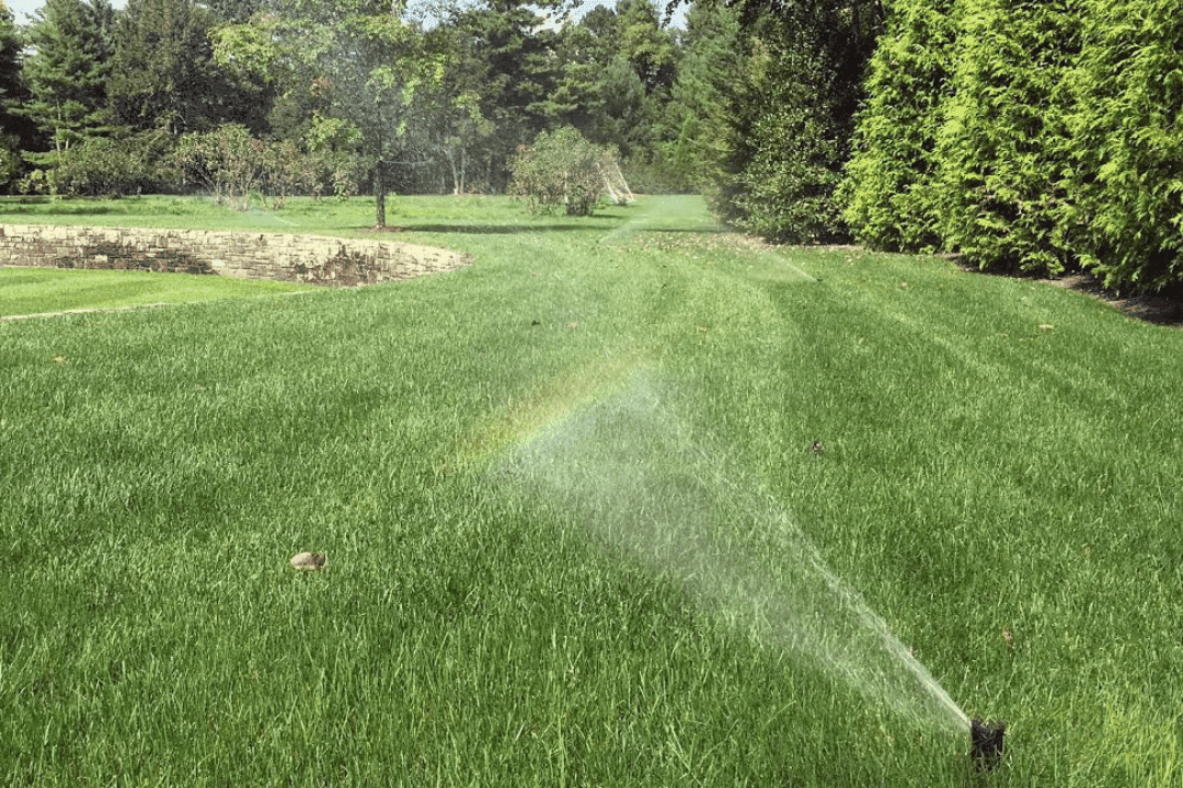 water-efficient irrigation systems for landscapes
