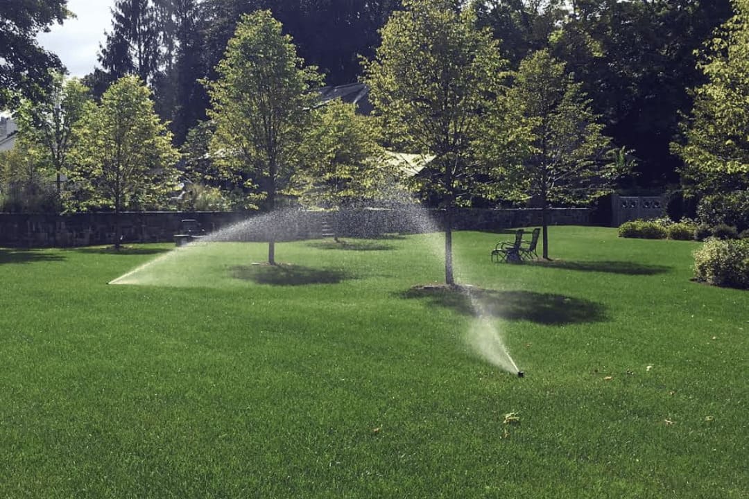 residential irrigation system under local water restrictions