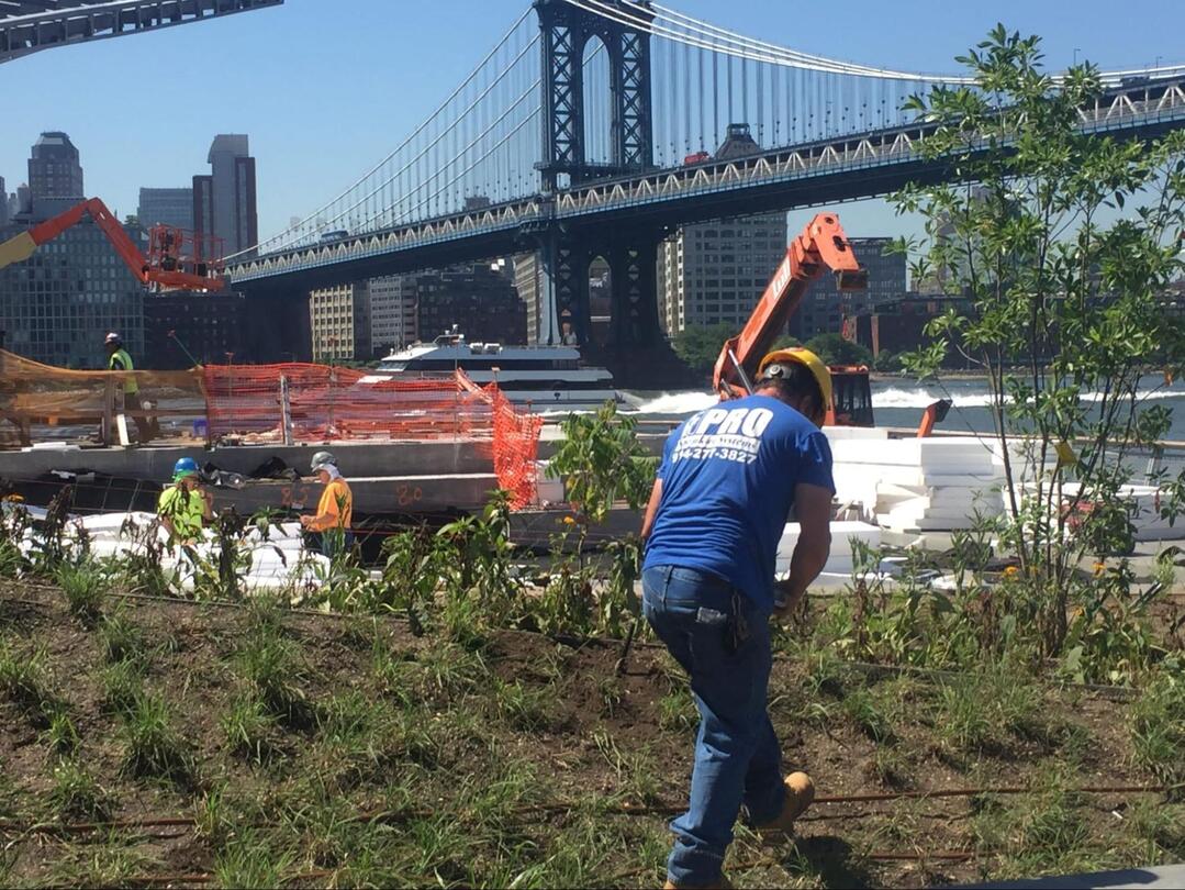 Sprinkler System Installation For Landscaping And Irrigation Project