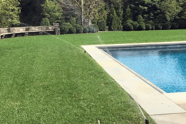 well-maintained lawn achieved through a professionally installed residential sprinkler system with balanced irrigation